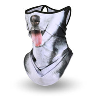 Cache Cou Ski Chien Husky